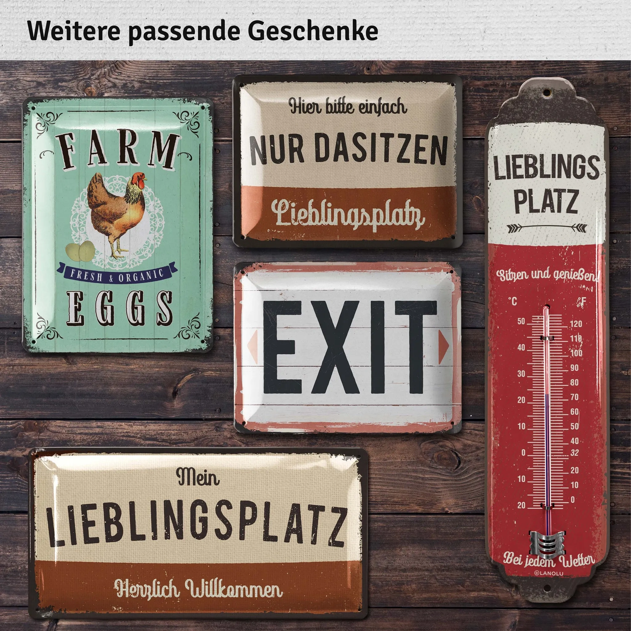 LANOLU Retro-Blechschild „Lieblingsplatz“ – Gartenschild im Vintage-Stil aus Stahlblech, 17×34 cm